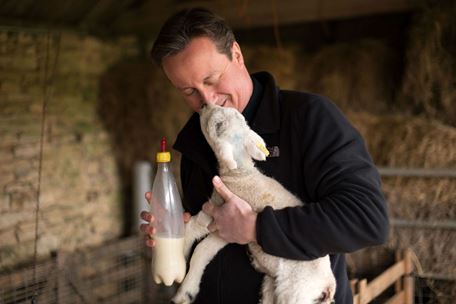 11 pictures of David Cameron feeding a super-cute lamb, winning the general election